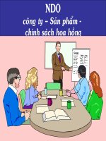 công ty - sản phẩm - chính sách hoa hồng