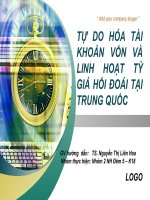 tự do hóa tài khoản vốn và linh hoạt tỷ giá hối đoái tại trung quốc