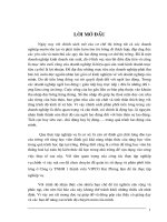 báo cáo thực tập nghiệp vụ tại công ty tnhh 1 thành viên vipco hải phòng