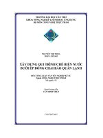xây dựng qui trình chế biến nước bưởi ép đóng chai bảo quản lạnh - tài liệu, ebook, giáo trình