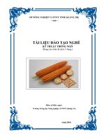 Tài liệu đào tạo nghề Kỹ thuật trồng ngô: Phần I - Sở NN&PTNT Quảng Trị