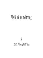 Vi sinh vật học môi trường