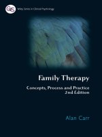 family therapy concepts, process and practice