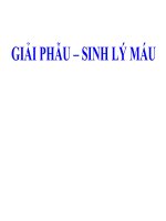giải phẩu sinh lý máu