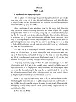 quy hoạch xây dựng nông thôn mới xã Bảo Linh, huyện Định Hóa, tỉnh Thái Nguyên