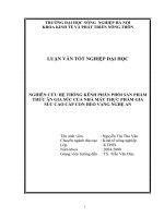 nghiên cứu hệ thống kênh phân phối sản phẩm thức ăn gia súc của nhà máy thực phẩm gia súc cao cấp con heo vàng nghệ an