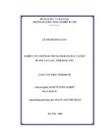 Nghiên cứu chuỗi giá trị ngành hàng rau cải bắp huyện văn lâm tỉnh hưng yên   tài liệu, ebook, giáo trình