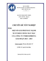 một số giải pháp thúc đẩy xuất khẩu hàng may mặc của công ty tnhh esprinta giai đoạn 2013 – 2015