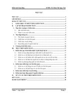 Đề tài kiểm toán hoạt động