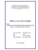 Nghiên cứu mô hình tập đoàn ở một số nước đông nam á và bài học cho việt nam