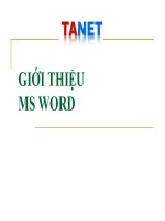giới thiệu ms word