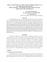 Những giải pháp kinh tế chủ yếu nhằm phát triển sản xuất cây ăn quả trên địa bàn tỉnh Phú Thọ