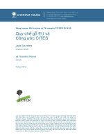 Quy chế gỗ EU và công ước Cites