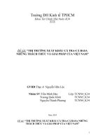 Tiểu luận : Thực trạng xuất khẩu cá basa - những thách thức và giải pháp ở việt nam