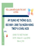 Tiểu luận: Áp dụng quản lý chất lượng ISO 9001: 2000 tại ngân hàng TMCP Á Châu ACB