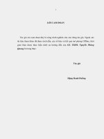 cải thiện chất lượng điều khiển máy phát không đồng bộ nguồn kép dùng trong hệ thống phát điện chạy sức gió bằng phương pháp điều khiển phi tuyến