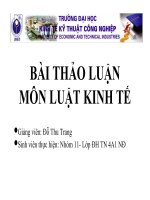 Bài thảo luận môn luật kinh tế
