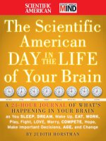 scientific american day in the life of your brain