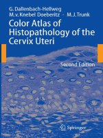 color atlas of histopathology of the cervix uteri 2nd ed  -  c. dallenbach - hellweg, et al., (springer, 2006)