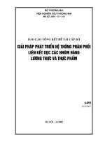 giải pháp phát triển hệ thống phân phối liên kết dọc các nhóm hàng lương thực và thực phẩm