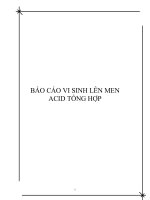 báo cáo vi sinh lên men acid tổng hợp