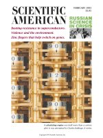scientific american   -  1993 02  -  beating resistance in superconductors