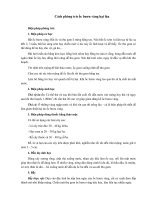 Cách phòng trừ ốc bươu vàng hại lúa