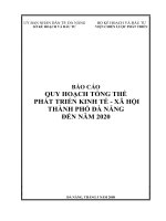 Báo cáo quy hoạch tổng thể phát triển kinh tế xã hội thành phố đà nẵng đến năm 2020