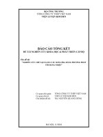 Nghiên cứu chế tạo gang cầu song pha bằng phương pháp tôi đẳng nhiệt