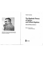 The algebraic theory of spinors and clifford algebras   chevalley