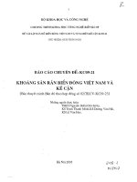 thành lập bản đồ địa chất biển đông và các vùng kế cận tỷ lệ 1-1.000.000 - khoáng sản rắn biển đông việt nam và kế cận