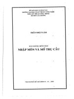 Nhập môn và mố trụ cầu bài giảng trần nhật lâm, hutech 2008