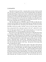 phát triển bền vững làng nghề Hà Nội