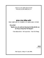 Nghiên cứu sản xuất mác thép hợp kim thấp độ bền cao tại công ty gang thép thái nguyên