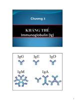 Bài giảng Miễn dịch học: Chương 3 - ThS. Nguyễn Thành Luân