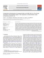 comparative phototoxicity of nanoparticulate and bulk zno to a free-living