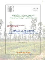 Nghiên cứu các giải pháp khoa học công nghệ về thị trường phát triển bền vững vùng cao su phục vụ chế biến và xuất khẩu