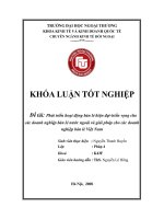 Khóa luận tốt nghiệp: Phát triển hoạt động bán lẻ hiện đại - triển vọng cho các doanh nghiệp bán lẻ nước ngoài và giải pháp cho các doanh nghiệp bán lẻ Việt Nam
