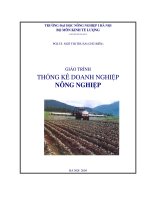 Thống kê doanh nghiệp nông nghiệp ngô thị thuận, đại học nông nghiệp hà nội, 2004
