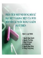 Tiểu luận: Phân tích một nội dung đối xử đặc biệt và khác biệt của WTO đối với các nước đang và kém phát triển