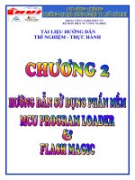 vi xử lý hướng dẫn cấu hình của mcu và flash magic