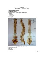 X QUANG BỆNH LÝ CỘT SỐNG