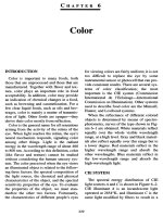 Color - Principle of food chemistry