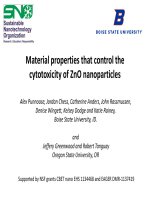 Cytotoxicity of zno nanoparticles