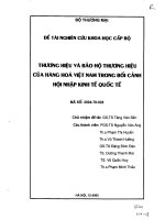 Xây dựng và bảo hộ tên gọi xuất xứ hàng hoá của việt nam trong quá trình hội nhập kinh tế quốc tế