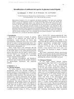 Identification of antibacterial species in plasma treated liquids