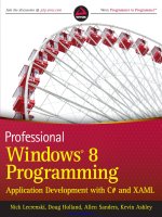 professional windows 8 programming