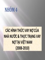 các hình thức vay nợ của nhà nước và thực trạng vay nợ tại việt nam ( 2008 - 2010)
