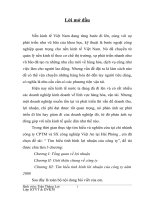 tìm hiểu tình hình lợi nhuận của công ty cptm và sx công nghiệp việt an
