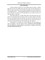 trình tự các bước tiến hành  một cuộc thanh tra; công tác kiểm tra xử lý hành vi vi phạm về môi trường trên địa bàn thành phố hà nội